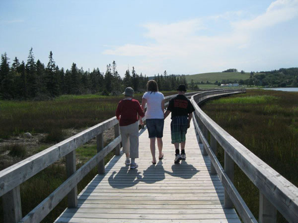 Boardwalk